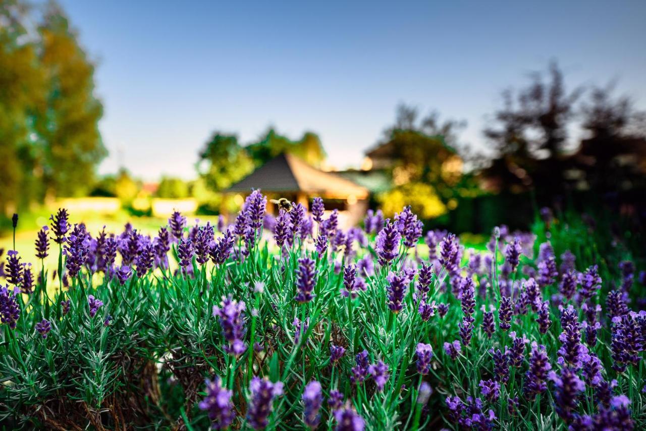 Villa Natura Zator Przeciszow Kültér fotó