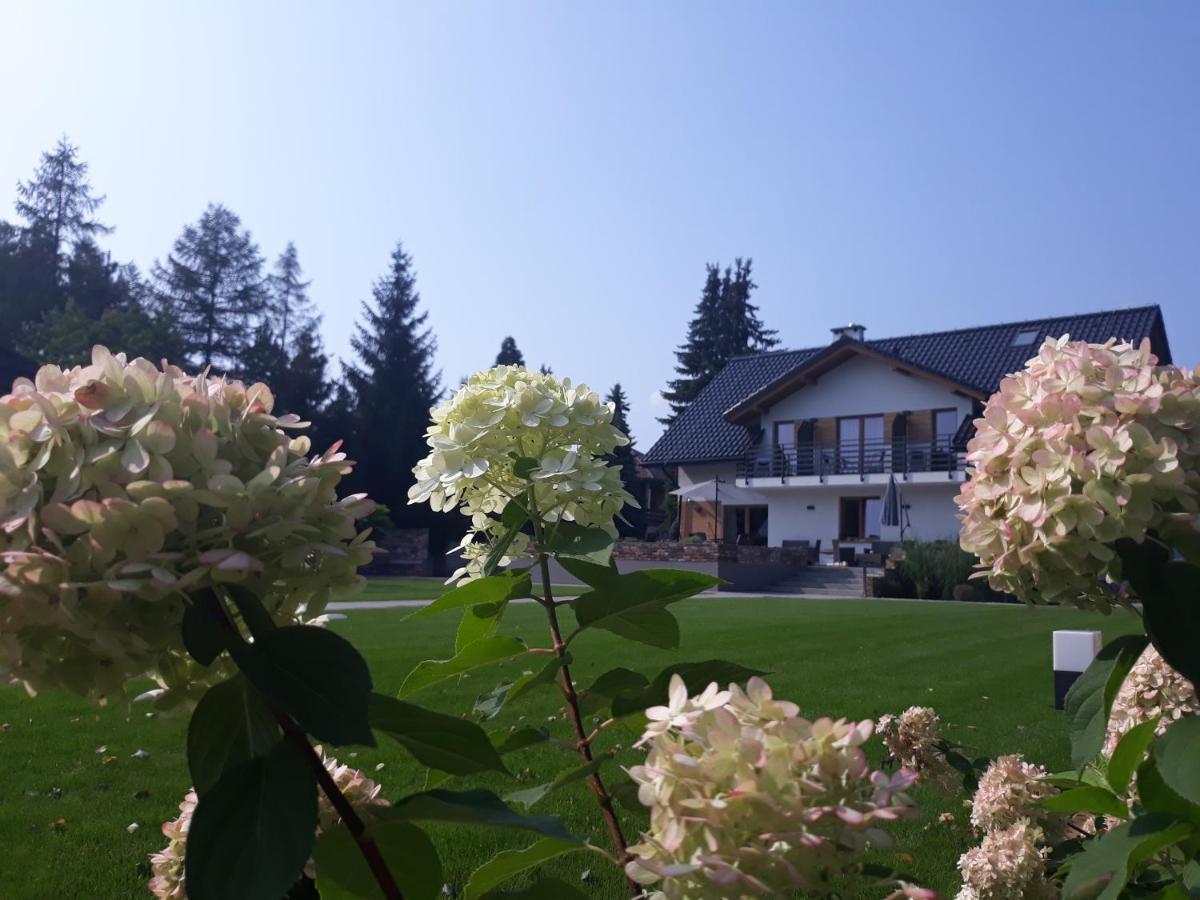 Villa Natura Zator Przeciszow Kültér fotó